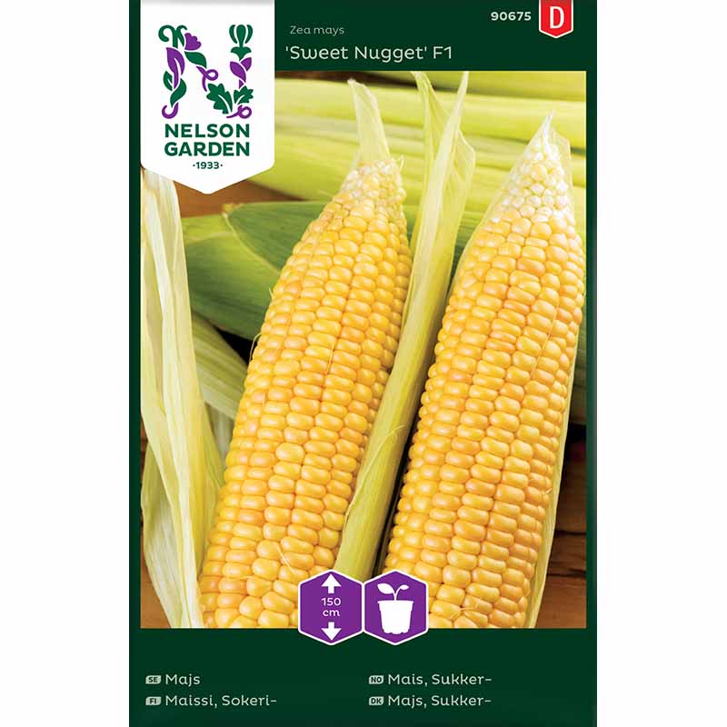 Zuckermais 'Sweet Nugget'F1