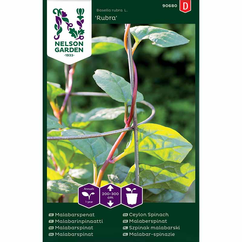 Malabarspinat 'Rubra'