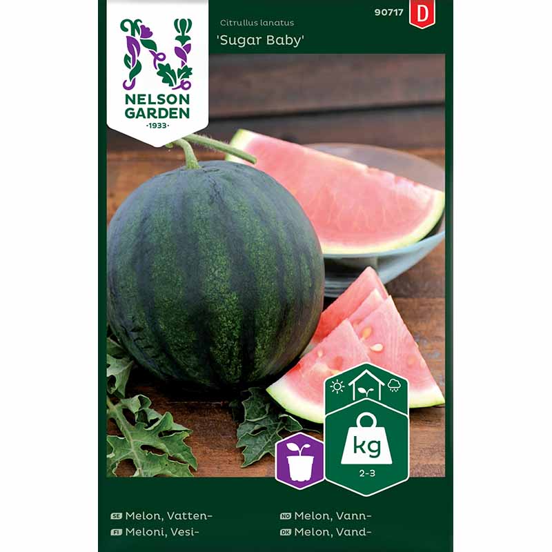 Wassermelone 'Sugar Baby'