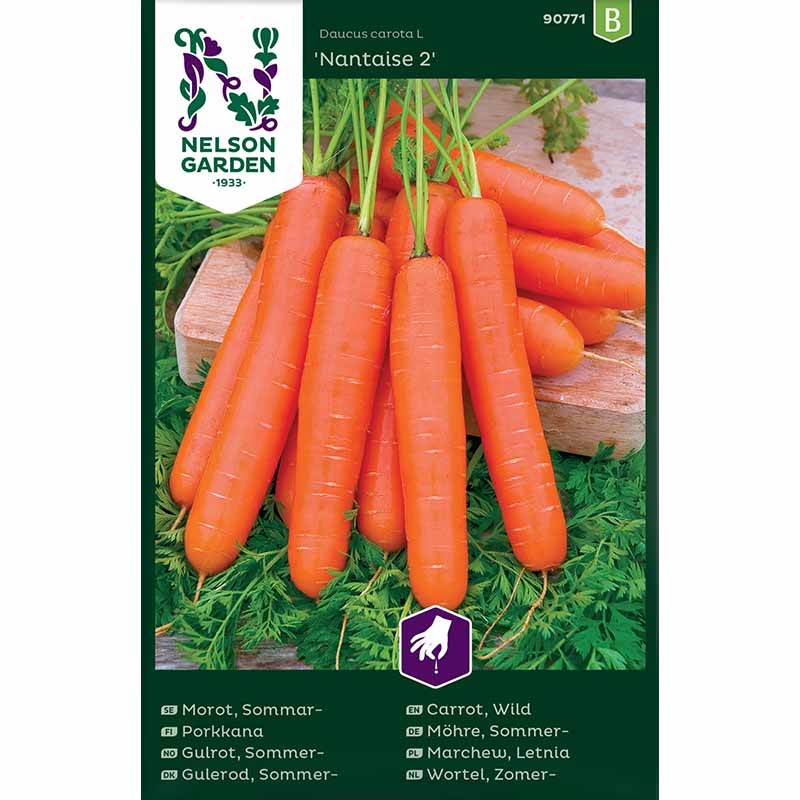 Sommermöhre 'Nantaise 2'