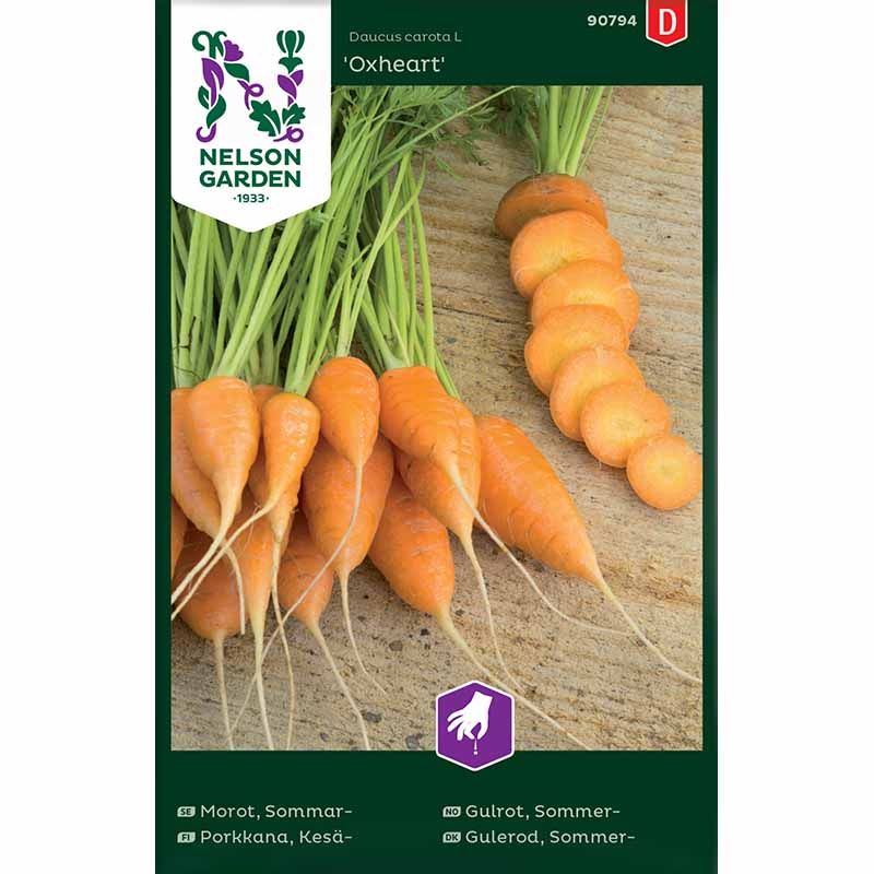 Sommermöhre 'Oxheart'