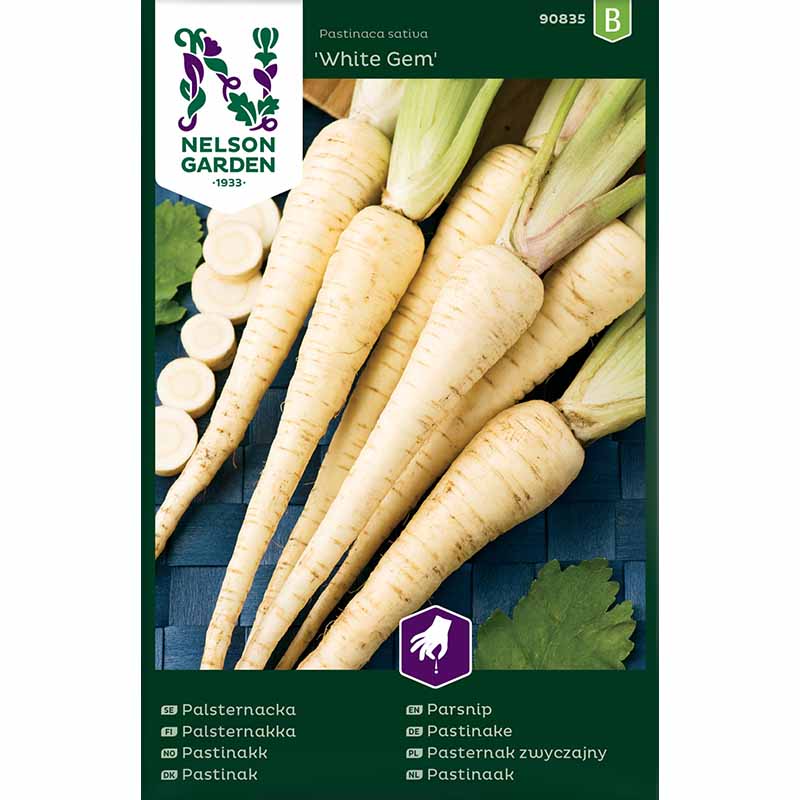 Pastinake 'White Gem'