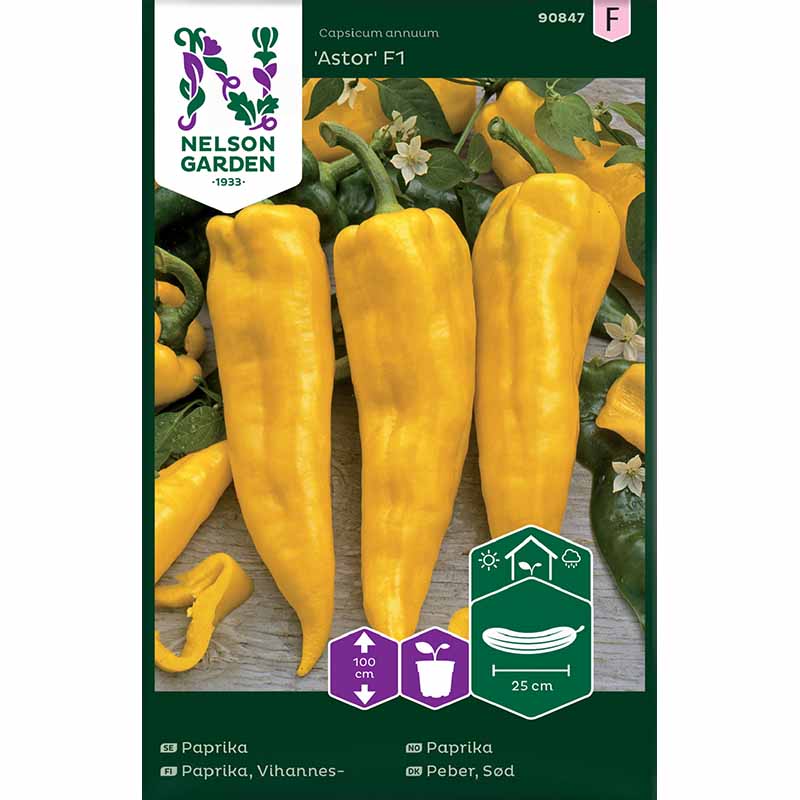 Paprika 'Astor'F1