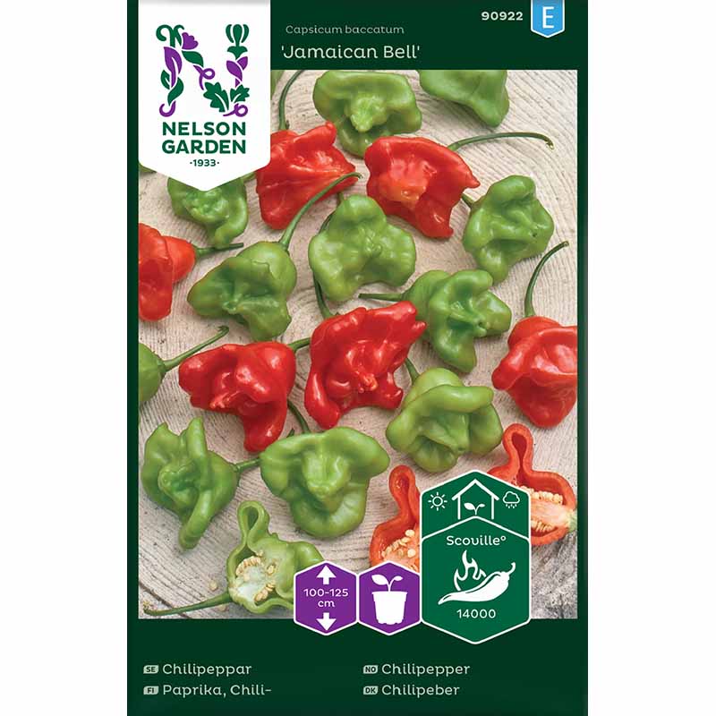 Chili 'Jamaican Bell'