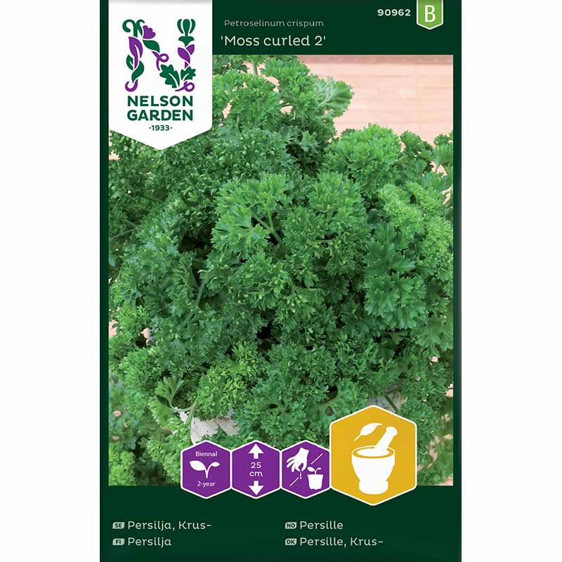 Blattpetersilie 'Moss curled 2'