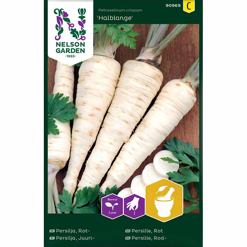 Wurzelpetersilie 'Halblange'
