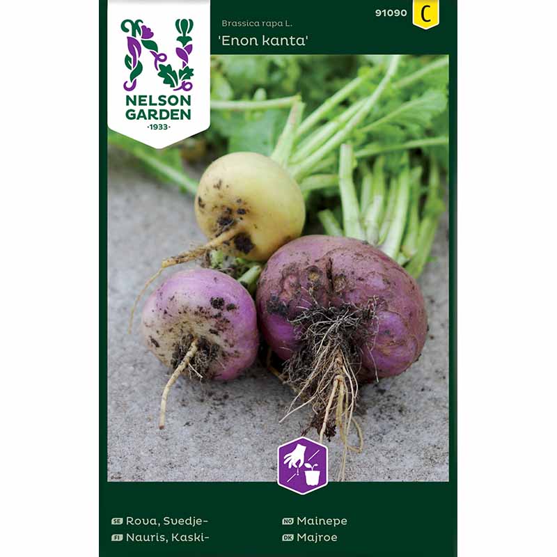Speiserübe , Enon kanta 'Enon kanta'