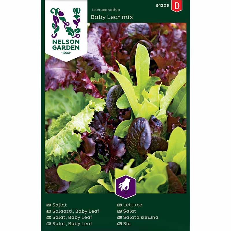 Salat 'Baby Leaf mix'