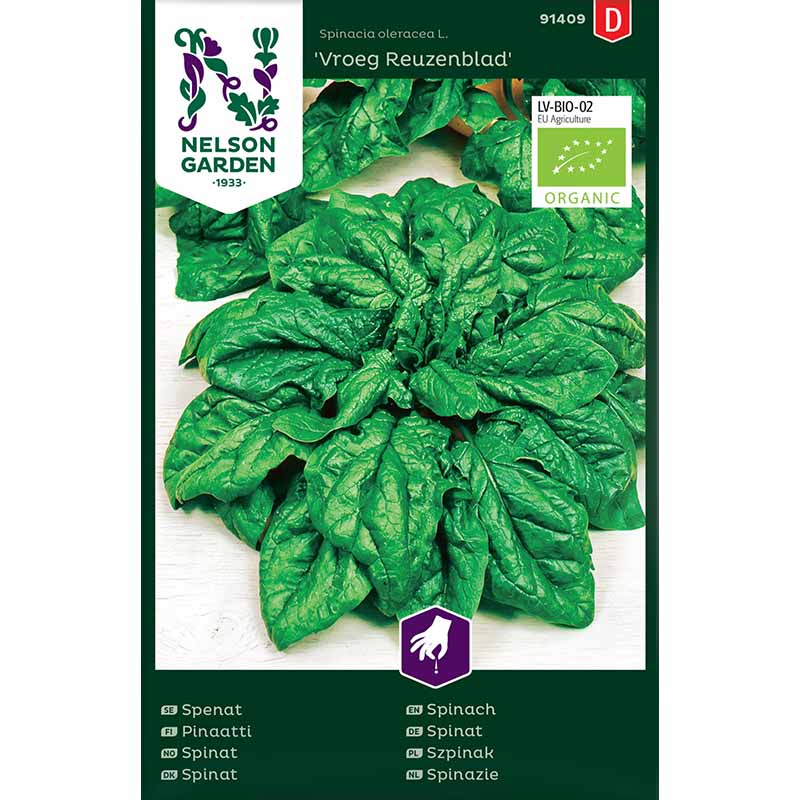 Spinach 'Vroeg Reuzenblad'