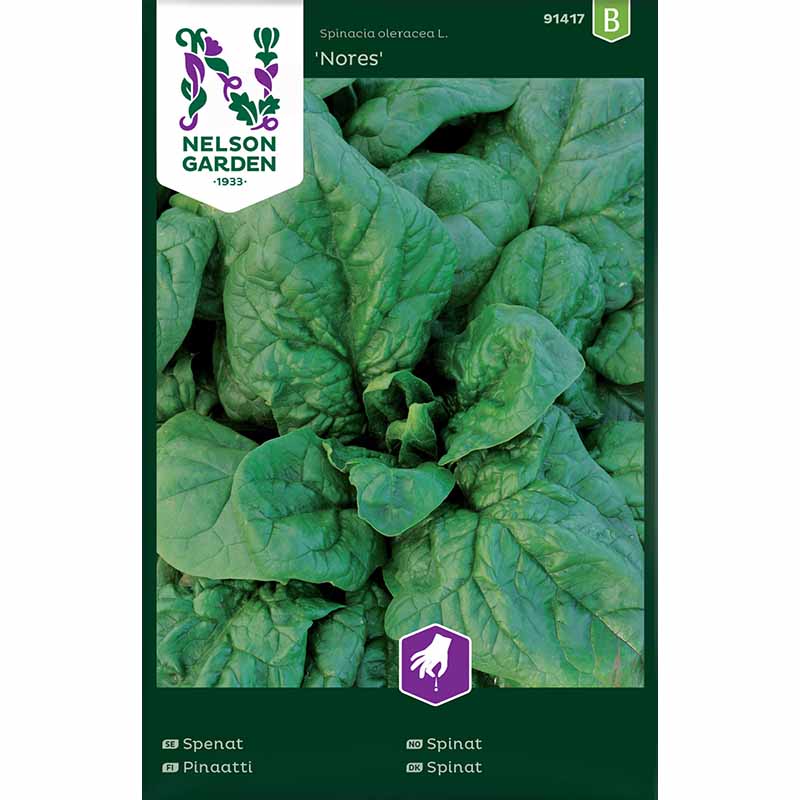 Spinat 'Nores'