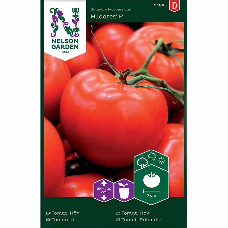 Hohe Tomate 'Hildares' F1