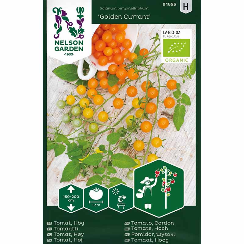 Tomate 'Golden Currant'