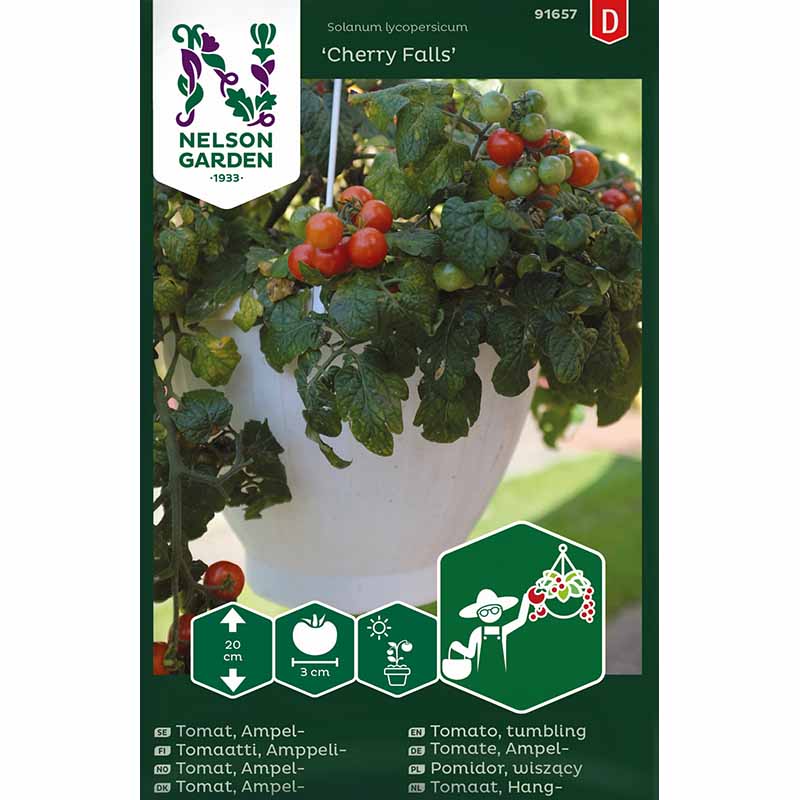 Tomato 'Cherry Falls'