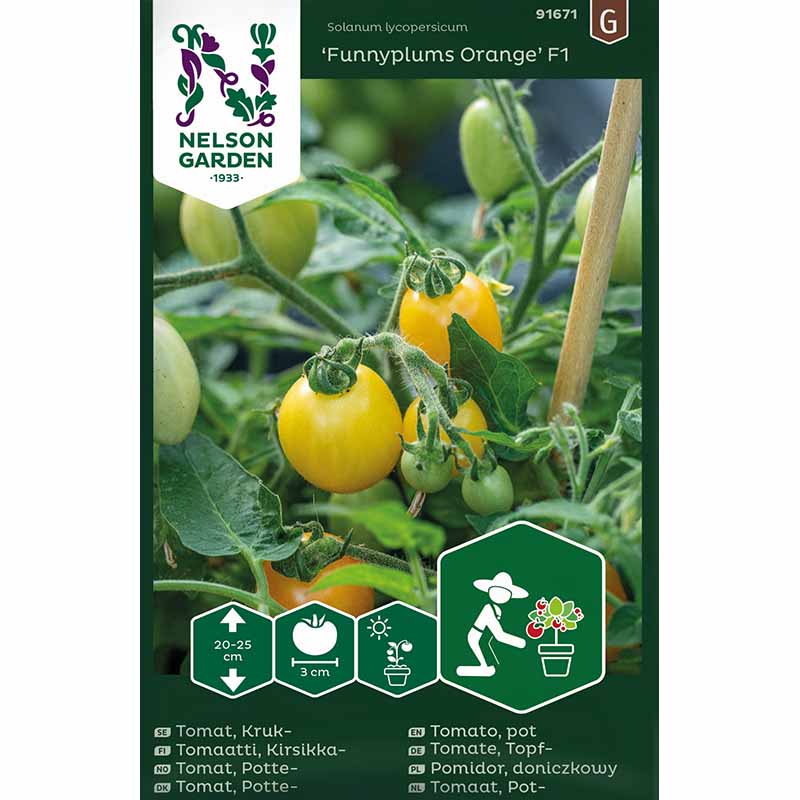 Tomato 'Funnyplums Orange' F1