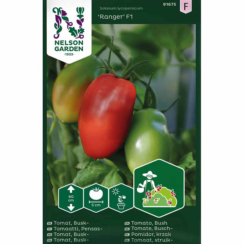 Buschtomate 'Ranger' F1