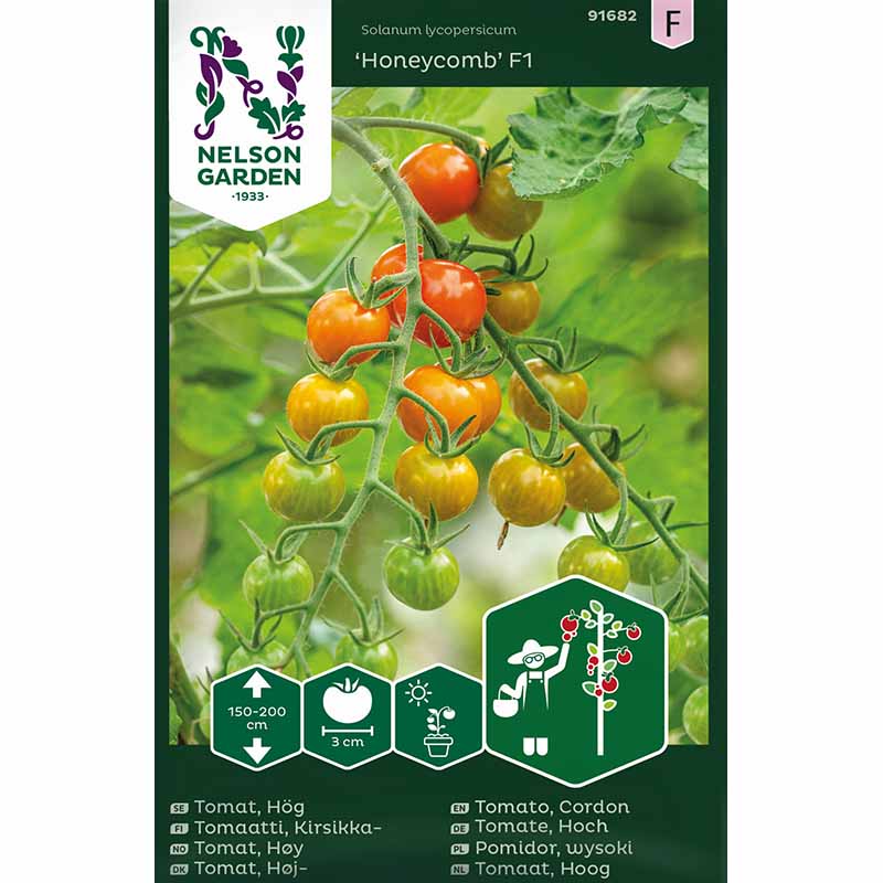Tomate 'Honeycomb' F1