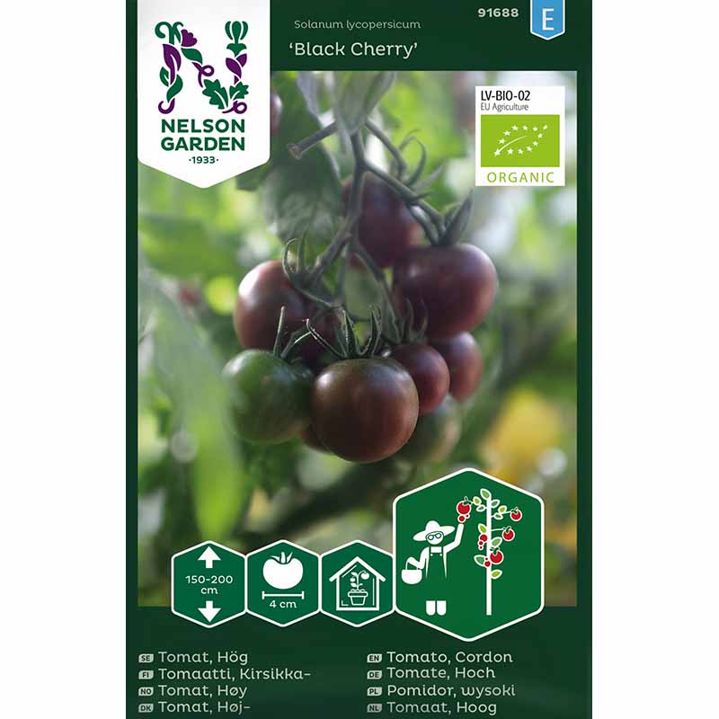 Tomate 'Black Cherry'