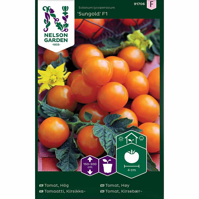 Cherrytomate 'Sungold' F1