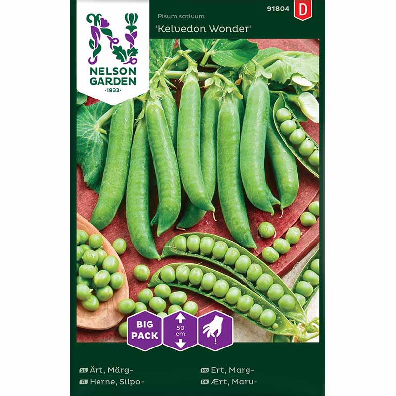Pea , låg 'Kelvedon Wonder'
