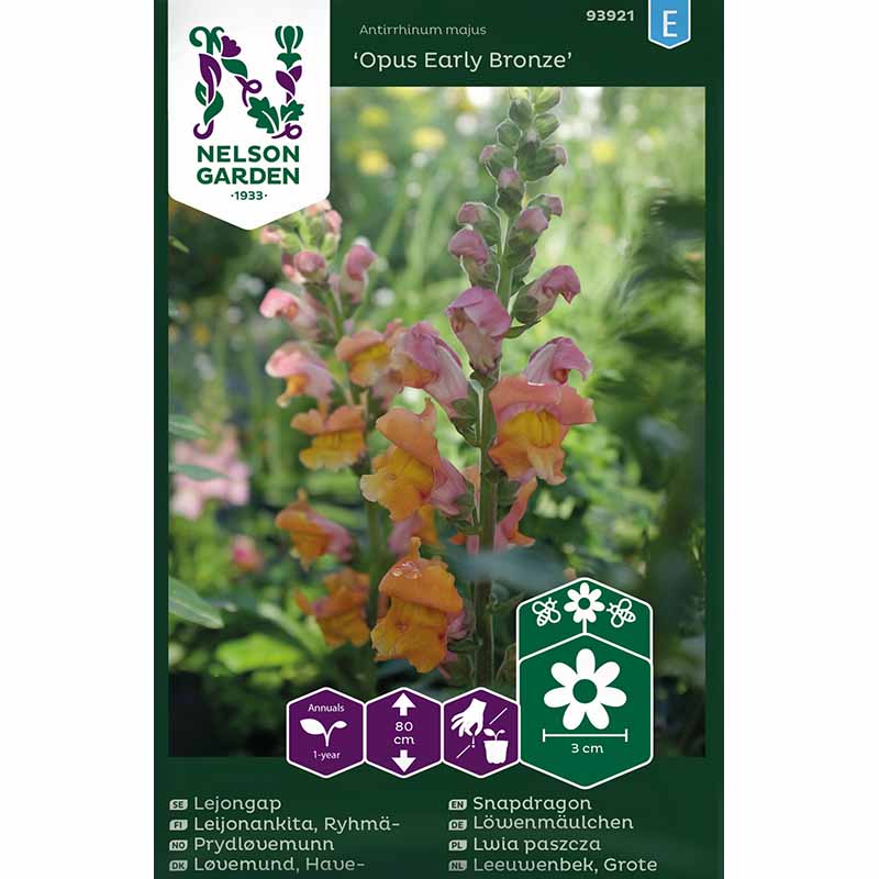 Löwenmaul 'Opus Early Bronze' F1