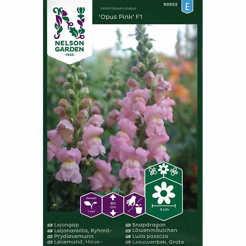 Löwenmaul 'Opus Pink' F1