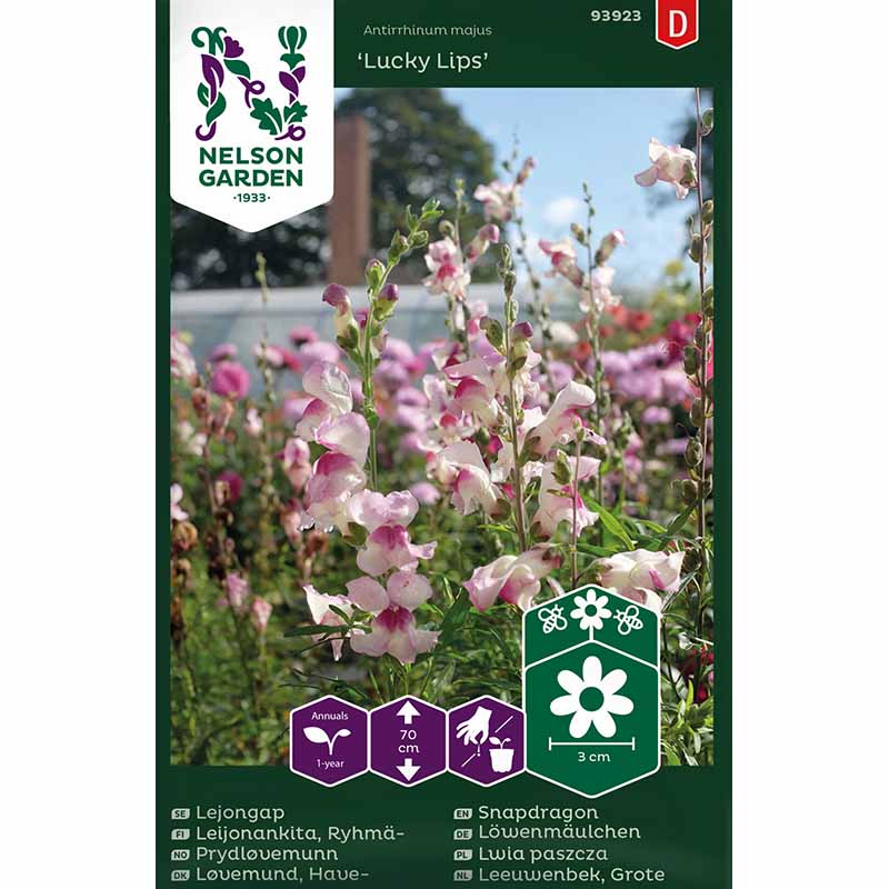 Löwenmaul 'Lucky Lips'