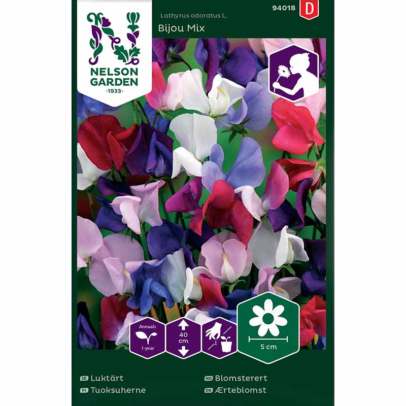 Duftwicke 'Bijou Mix'