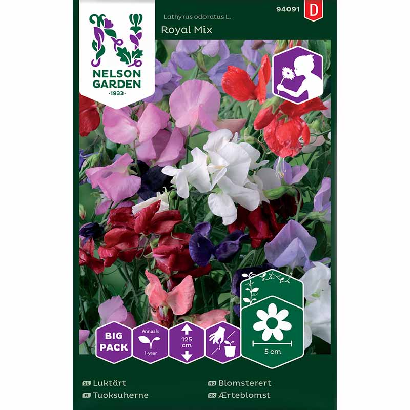 Duftwicke 'Royal Mix' Big pack
