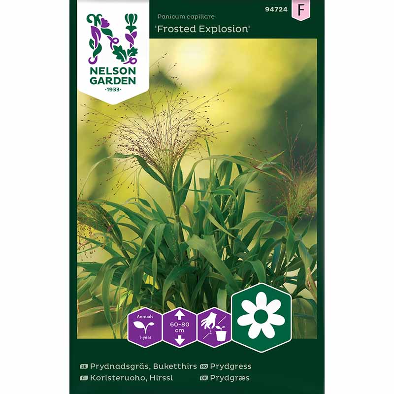 Ziergras 'Frosted Explosion'