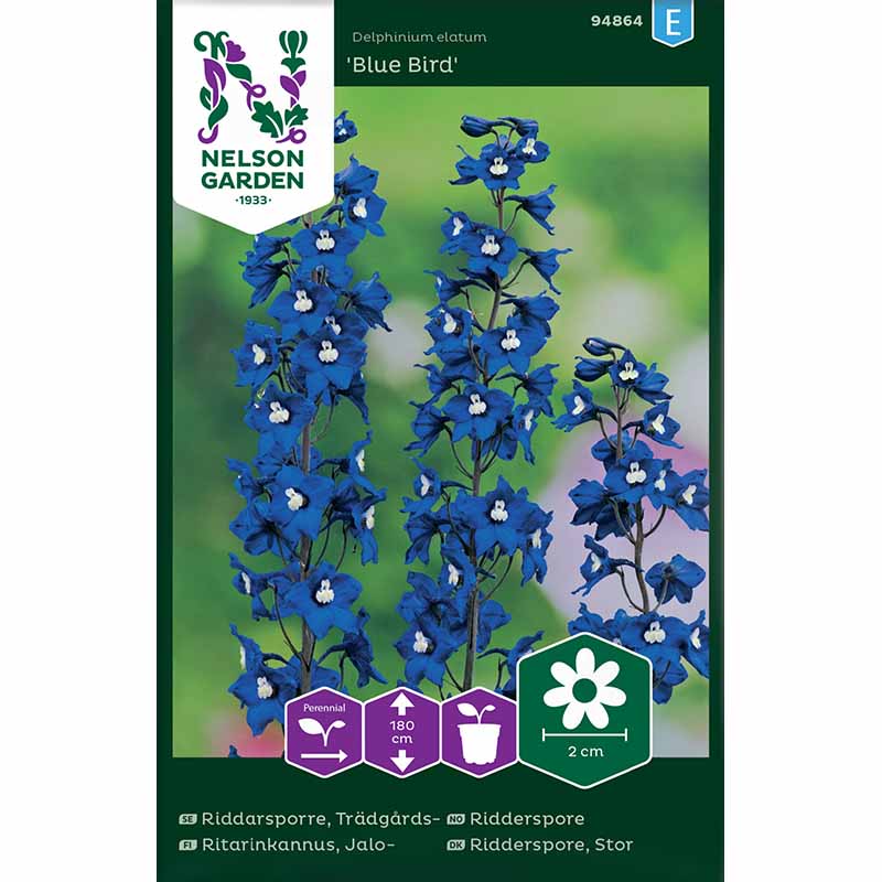 Gartenrittersporn 'Blue Bird'