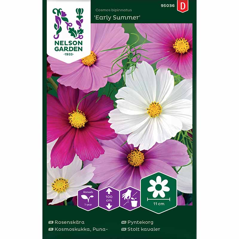 Kosmee 'Early Summer'