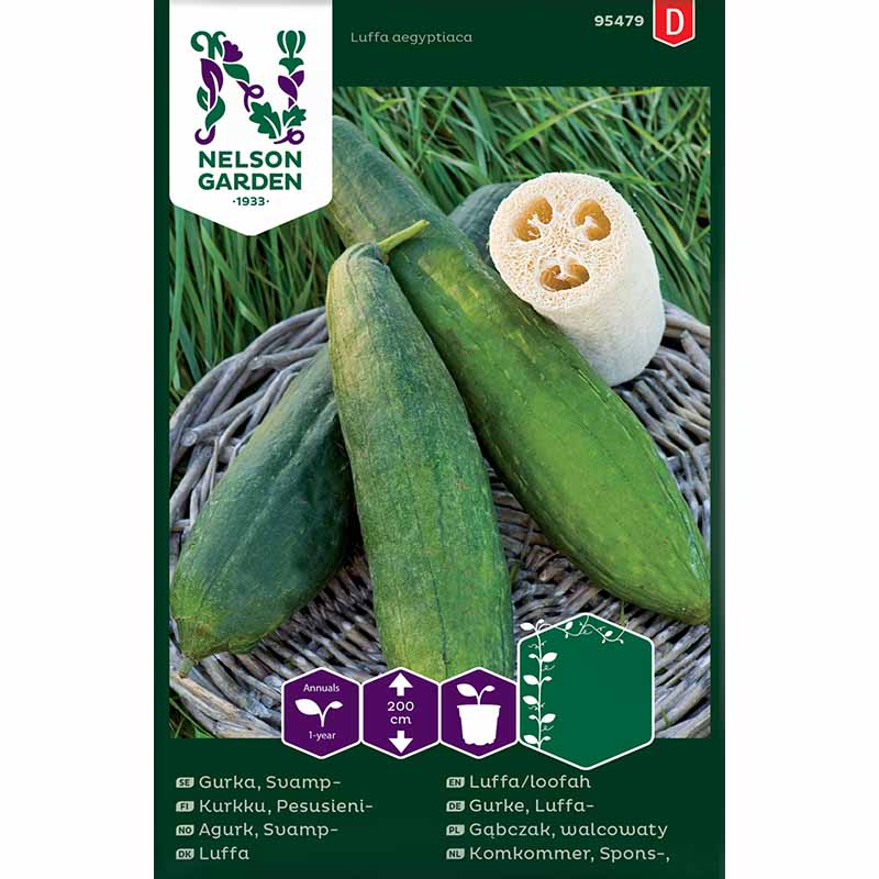 Mexikanische Minigurke