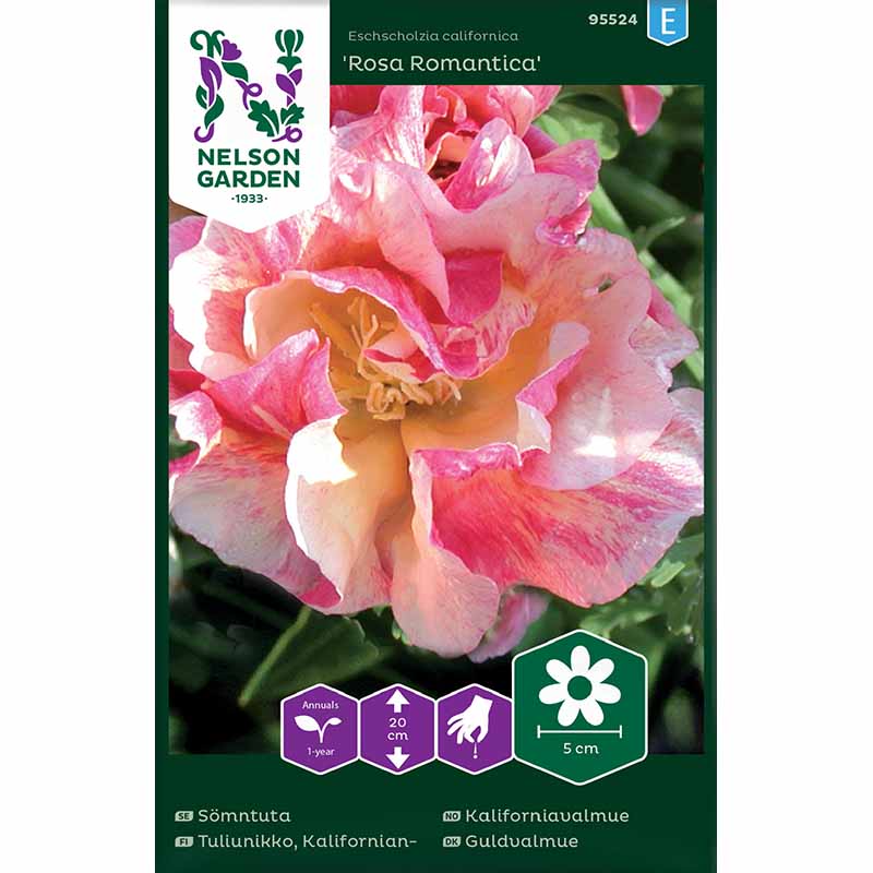 Schlafmützchen 'Rosa Romantica'