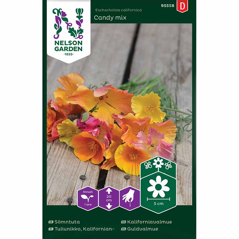 Schlafmützchen 'Candy mix'