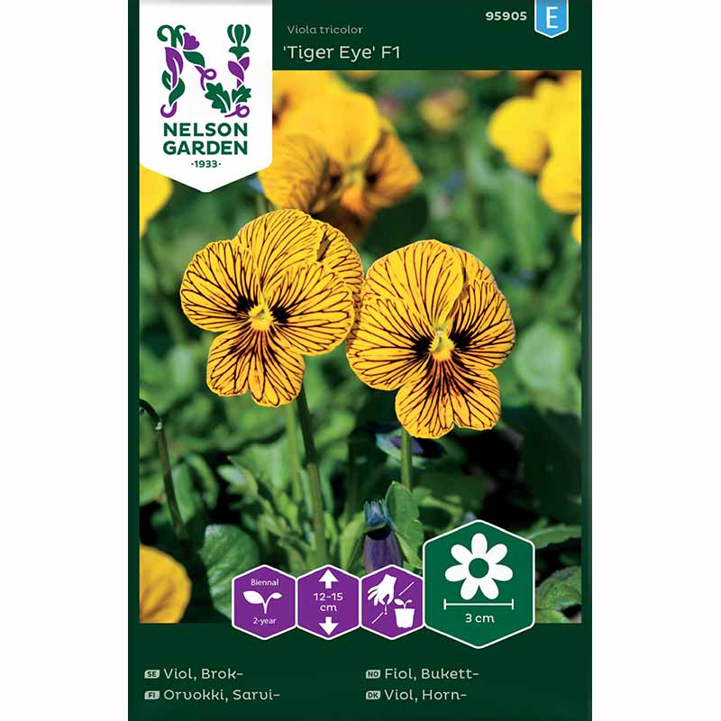 Stiefmütterchen 'Tiger Eye' F1