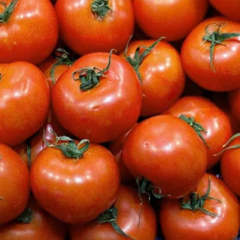 Tomate 'Craigella'