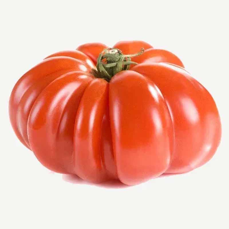 Tomate 'Costoluto Genovese'