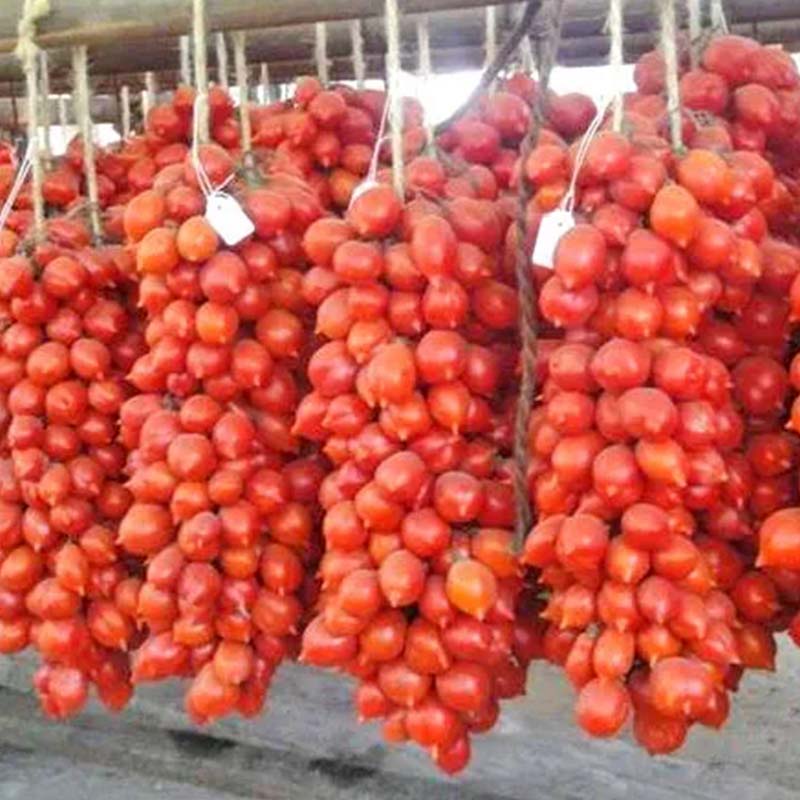 Tomate 'A Grappoli dInverno'