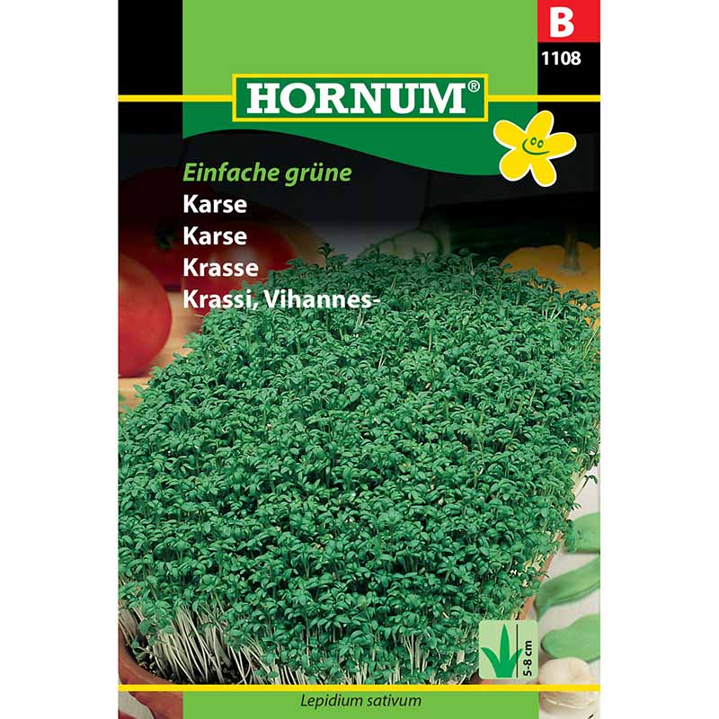 Kresse 'Einfache grüne'