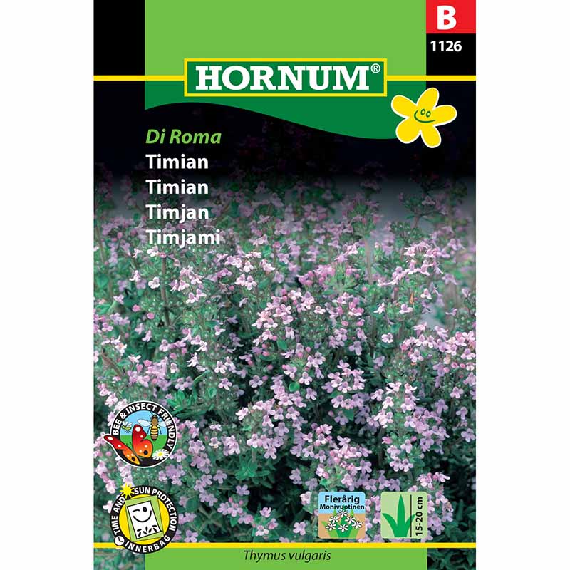 Thymian 'Di Roma'