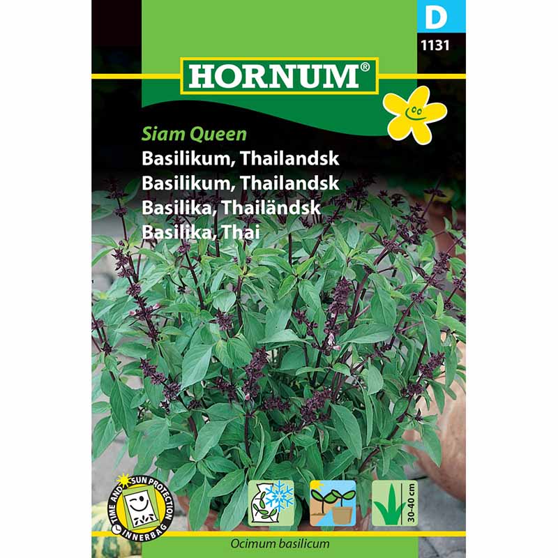 Thai-Basilikum 'Siam Queen'