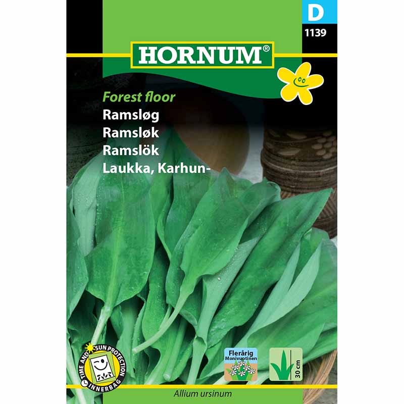 Bärlauch 'Forest Floor'