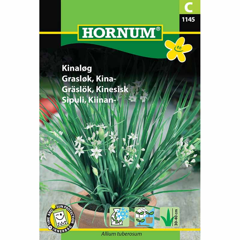 Chinesischer Schnittlauch