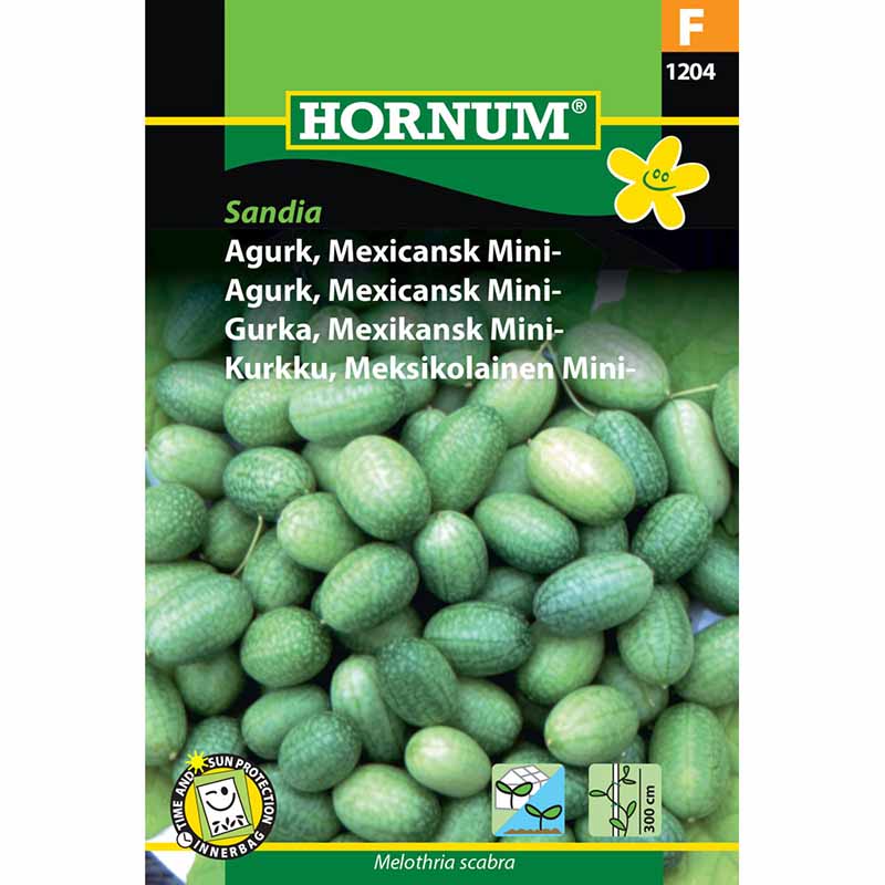 Mexikanische Minigurke 'Sandia'