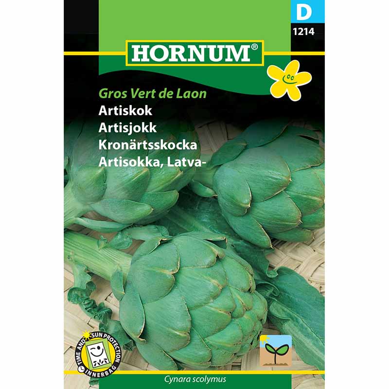 Artischocke 'Gros Vert de Laon'