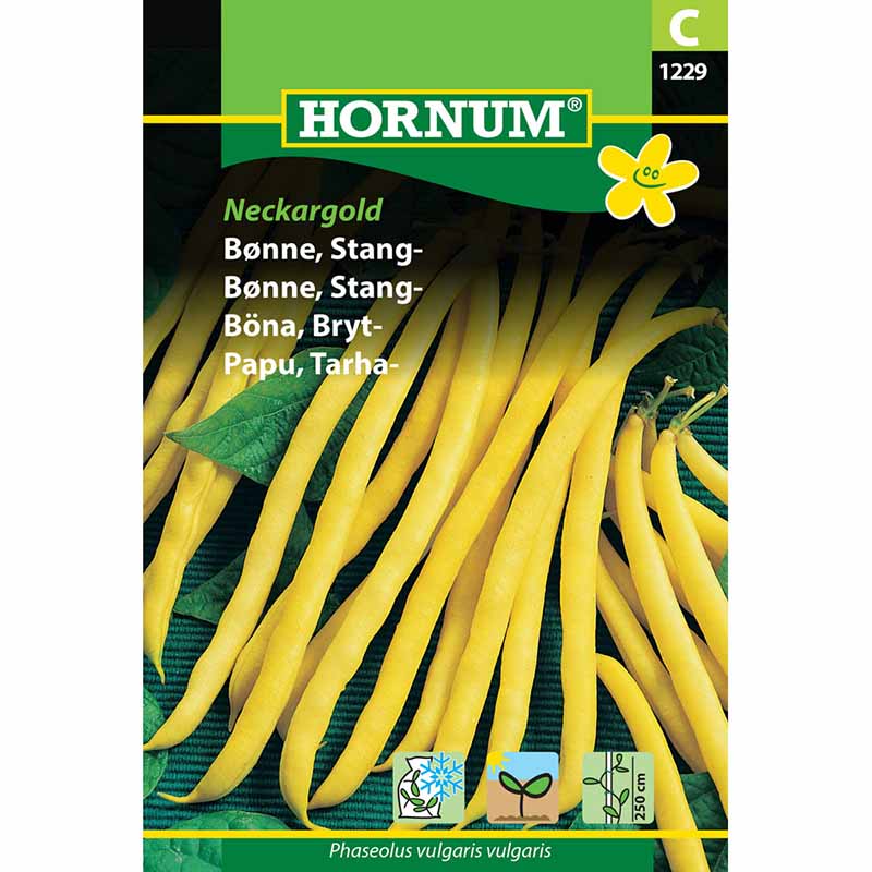 Stangenbohne 'Neckargold'