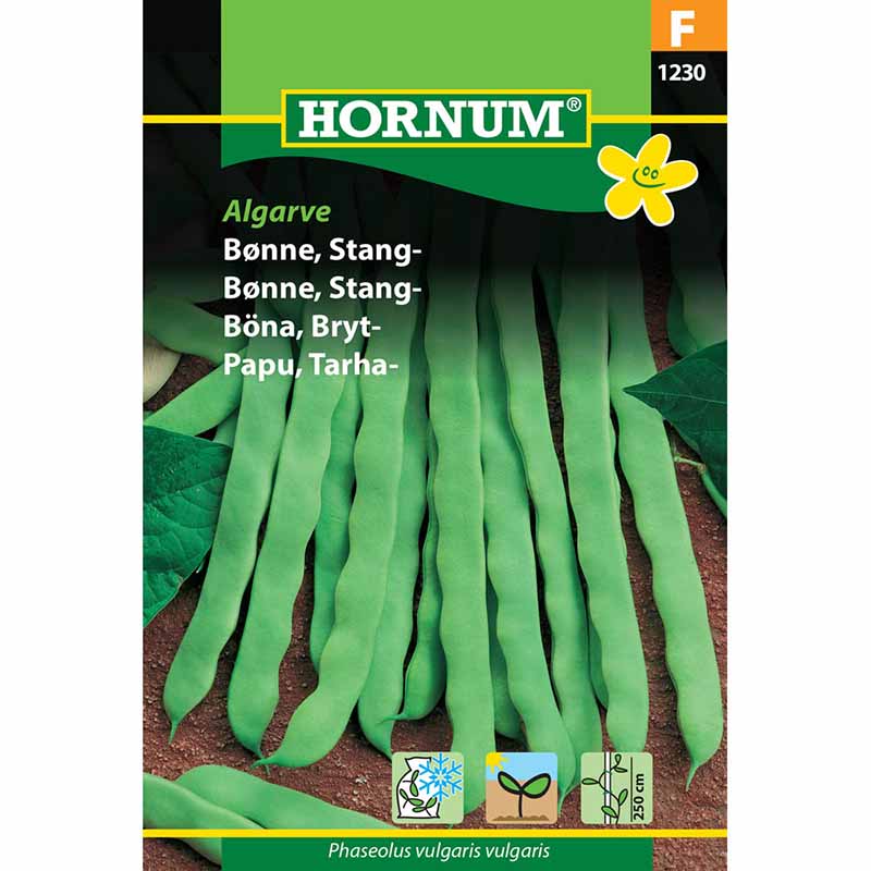 Stangenbohne 'Algarve'