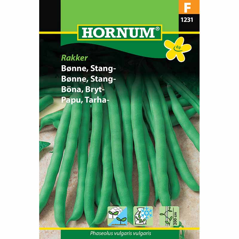 Stangenbohne 'Rakker'