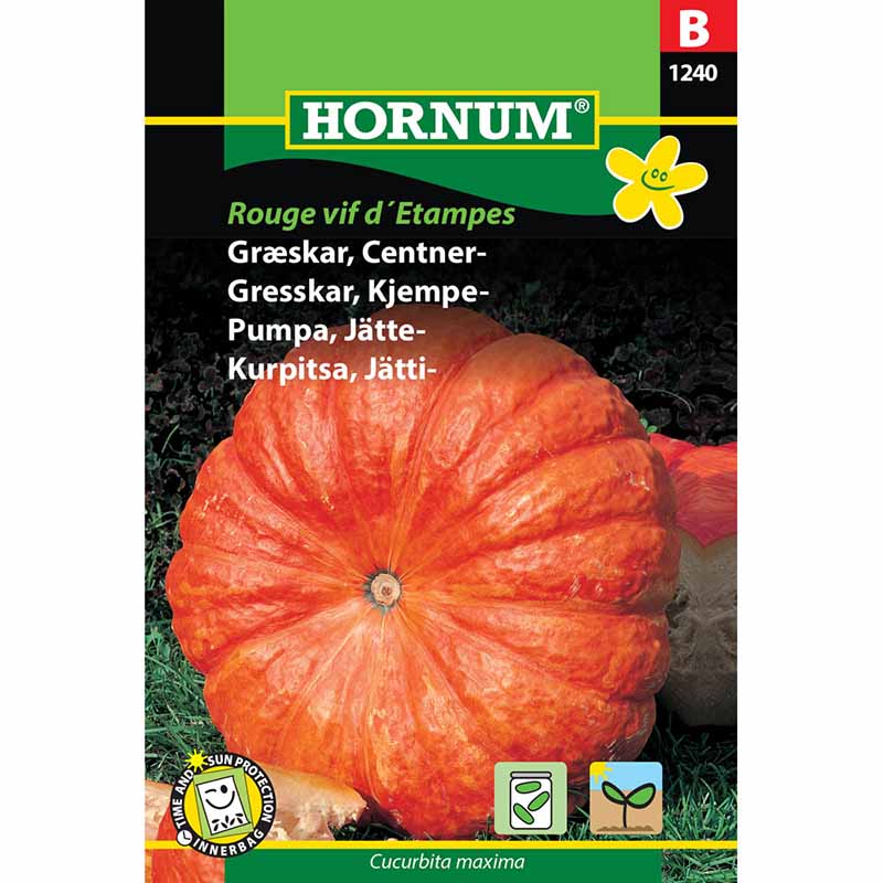 Riesenkürbis 'Rouge très hâtif d'Étampes'
