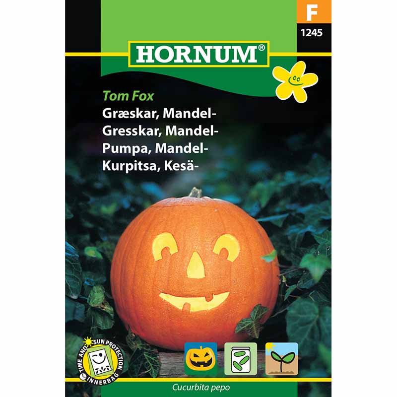 Ölkürbis 'Tom Fox'